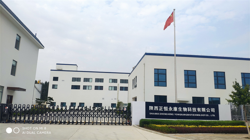 陜西正恒永康生物科技保健品中藥前處理及提取車間生產(chǎn)線建設(shè)項(xiàng)目